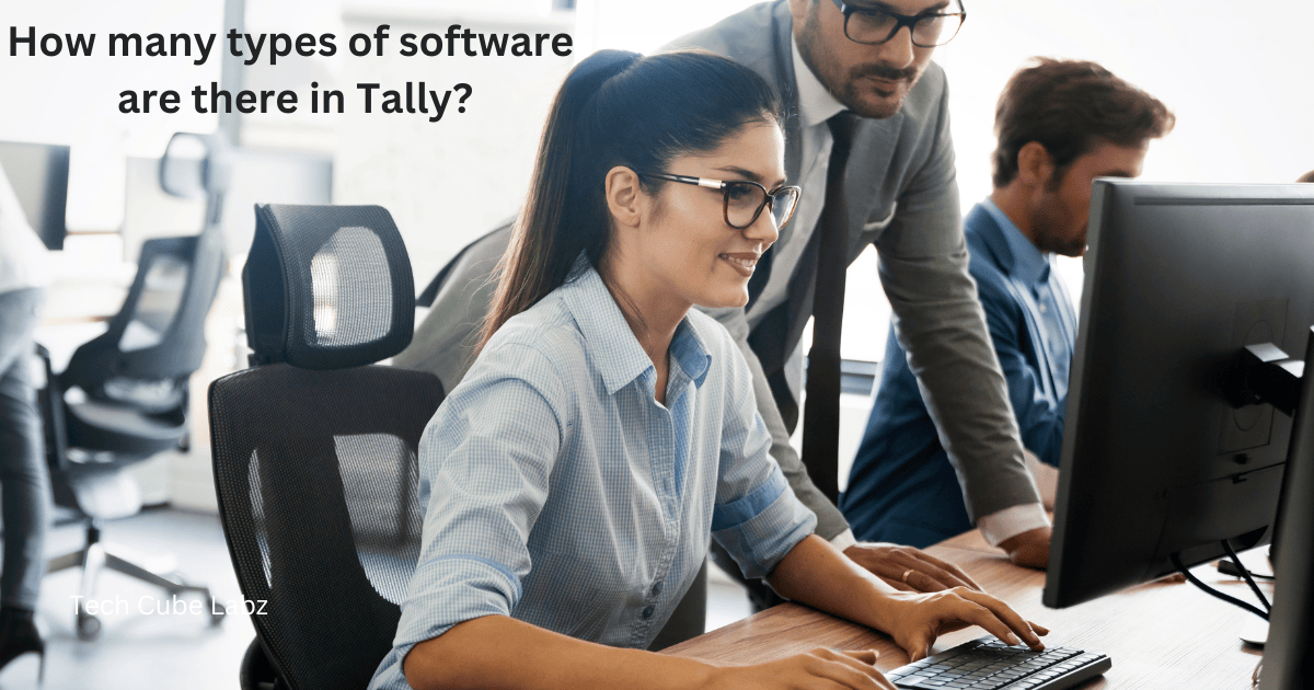 How many types of software are there in Tally?